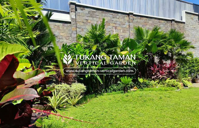 tukang taman pejaten
